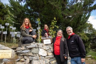 Les vendanges 2024 de la plus petite vigne du monde : ici le comité de la Vigne à Farinet