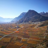 Les vitiviniculteurs valaisans sont plus que jamais au cœur des préoccupations ces derniers jours.