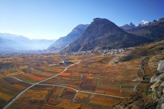 Les vitiviniculteurs valaisans sont plus que jamais au cœur des préoccupations ces derniers jours.