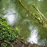 Le Canton de Vaud cartographie et recense les sites pollués depuis plusieurs années. Les sites susceptibles d'être pollués aux PFAS font l'objet d'investigations (photo symbolique). Keystone/JEAN-CHRISTOPHE BOTT