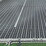 La croissance des énergies renouvelables est tirée par le solaire photovoltaïque (archives). KEYSTONE/AP/Andre Penner