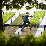 Lausanne veut encourager la création de toitures potagères (photo d'illustration). KEYSTONE/LAURENT GILLIERON