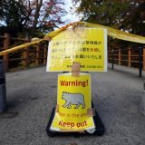 Des mises en garde ont été émises contre la présence d'ours dans certaines zones du Japon (image d'illustration). KEYSTONE/EPA/FRANCK ROBICHON