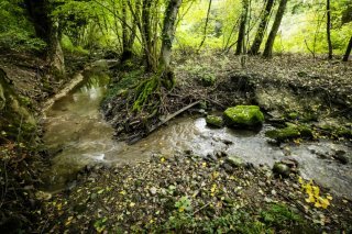 Certains tronçons du "Petit Flon" pourront être revitalisés. KEYSTONE/JEAN-CHRISTOPHE BOTT
