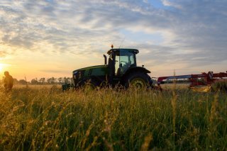 Cette année la culture des petits pois a particulièrement souffert de la chaleur de juin. KEYSTONE/DPA/KLAUS-DIETMAR GABBERT