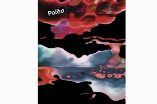 Paléo a dévoilé l'affiche et l'univers visuel de sa 49e édition mercredi. Paléo Festival