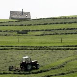 Le National veut accélérer l'homologation des pesticides (image d'illustration). KEYSTONE/ARNO BALZARINI