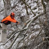 Une tronçonneuse pour abattre un arbre au-dessus d’une route à Nashville, dans le Tennessee, une région aussi touchée par la vague de froid. KEYSTONE/AP/George Walker IV