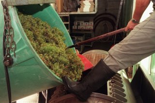 Un caviste à l'oeuvre à Venthône.