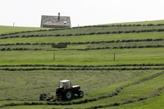 Le National veut accélérer l'homologation des pesticides (image d'illustration). KEYSTONE/ARNO BALZARINI