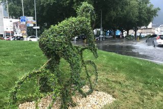 8DD71BCB-6EA0-4C8F-9271-E6EECE96DA33