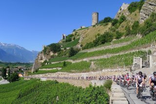 Cyclosportive des Vins du Valais