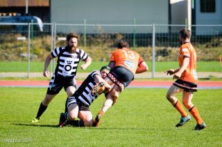 Rugby - Ovalie chablaisienne Monthey