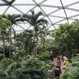Le Papiliorama, à Chiètres (FR), deuxième lieu touristique le plus visité du canton de Fribourg, se trouve dans le district du Lac, qui fait l'objet d'un ouvrage (archives).