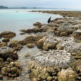 Le récif corallien est nécessaire à la survie de près d'un demi-milliard d'humains.