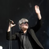 Arno sur la scène du Paléo Festival en 2015 (archives).