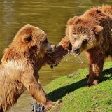 Will Smith a giflé l'humoriste Chris Rock durant la cérémonie des Oscars