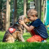 TRès vite, une relation privilégiée se met en place entre le chiens et son bénéficiaire