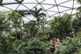 Le Papiliorama, à Chiètres (FR), deuxième lieu touristique le plus visité du canton de Fribourg, se trouve dans le district du Lac, qui fait l'objet d'un ouvrage (archives).