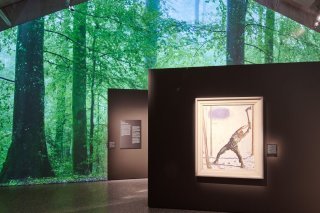 Au fil des récits et des oeuvres exposées, la présentation du Musée national sensibilise les visiteurs aux dégâts causés à la forêt et à la déforestation à travers l'histoire. Elle met aussi en lumière le rôle protecteur voire curatif de la forêt ...