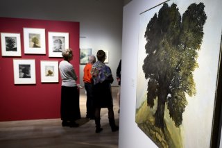 Le parcours s'articule autour de cinq thèmes chers à l'artiste, dont les arbres.