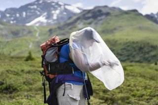 Le photographe Gaëtan Bally a été primé dans la catégorie "histoires suisses" pour ses photos de l'alpage de Flix (GR), un point chaud de la biodiversité et de la recherche dans ce domaine. Elles figurent aussi au menu de l'exposition présentée à ...
