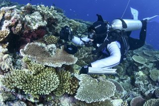 Entre septembre 2021 et mars 2022, l'autorité maritime de la Grande Barrière de corail, qui a publié l'étude, a procédé à des relevés exhaustifs sur ce récif inscrit sur la liste du patrimoine mondial de l'Unesco (archives).