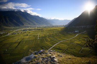Le vignoble de Chamoson