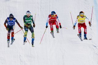 Skicross