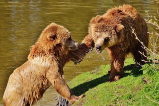 Will Smith a giflé l'humoriste Chris Rock durant la cérémonie des Oscars