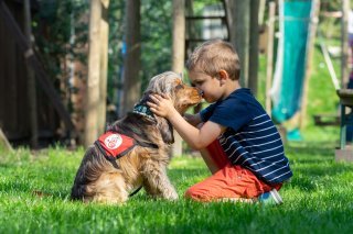 TRès vite, une relation privilégiée se met en place entre le chiens et son bénéficiaire