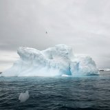 "Même en Antarctique ou sur le plateau tibétain, les niveaux présents dans l'eau de pluie sont au-dessus des recommandations proposées de l'Agence de protection de l'environnement des États-Unis (EPA)", déclare le principal auteur de l'étude.