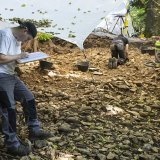 Avec ces fouilles à Colombier, des étudiants en archéologie de l'Universite de Neuchâtel ont eu l'opportunité de se former aux outils et méthodes d'investigation et de documentation actuels.