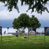 Avec 50'000 visiteurs, la biennale Images Vevey n'avait encore jamais attiré autant de monde.