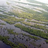 Au cours de son périple de presque deux ans, la goélette scientifique Tara s'est notamment intéressée à l'impact du fleuve Amazone sur la vie des océans et du microbiome océanique (photo symbolique).