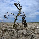 Deux activistes s'en sont prises samedi à un tableau de Goya dans le musée du Prado pour dénoncer l'inaction des gouvernements face à la crise climatique (photo d'illustration).