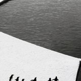 Les manchots empereurs sont menacés par le réchauffement climatique. (Archives)