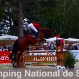 Un cavalier en action