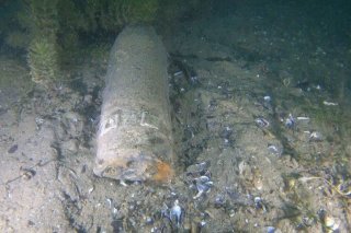 Un obus de lance-mines de la Première Guerre mondiale a été repêché vendredi dans le lac de Zurich.