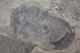 Dans la tombe vieille de 4500 ans découverte à Baar (ZG), les archéologues ont trouvé le squelette d'un homme et un objet funéraire.