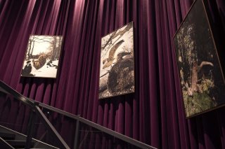 Les peintures du Neuchâtelois Till Rabus interrogent la mise en scène de la mort, en lien avec les animaux taxidermisés.