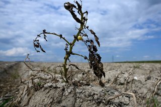 Deux activistes s'en sont prises samedi à un tableau de Goya dans le musée du Prado pour dénoncer l'inaction des gouvernements face à la crise climatique (photo d'illustration).