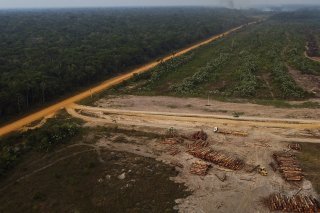 "Inquiets mais pas désespérés", les scientifiques espèrent que les instances politiques prendront les mesures qui s’imposent pour préserver le poumon vert de la planète (archives).