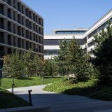 Morges veut plus d'arbres pour couvrir son territoire (archives).