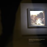 Les "plaques-miroirs" dites Lippmann sont produites grâce à la technique interférentielle, un procédé de reproduction des couleurs par ondulations, pour lequel Gabriel Lippmann a reçu le prix Nobel de physique en 1908.