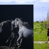 Avec sa série "Chimères", Matthieu Gafsou fait le récit d'une planète en ruine, à l'aide de programmes de génération d'images utilisant l'intelligence artificielle.