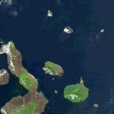 L'archipel des Galapagos, qui se situe à 1000 km au large de l'Équateur, possède une faune et une flore uniques au monde (archives).
