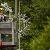 Des éléments de la décoration lumineuse de Noël, offerte par Tina Turner à sa commune de Küsnacht (ZH), ont été installés jeudi, suite au décès de la star du rock.