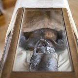 La momie Shep-En-Se était arrivée en Suisse à une époque un tel cadeau était tout à fait légal (archives).