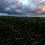 Météo Suisse s'attend jeudi à de violents orages sur la Suisse dès midi avec des rafales de vent de plus de 100 km/h, de la grêle et des impacts de foudre (archives).